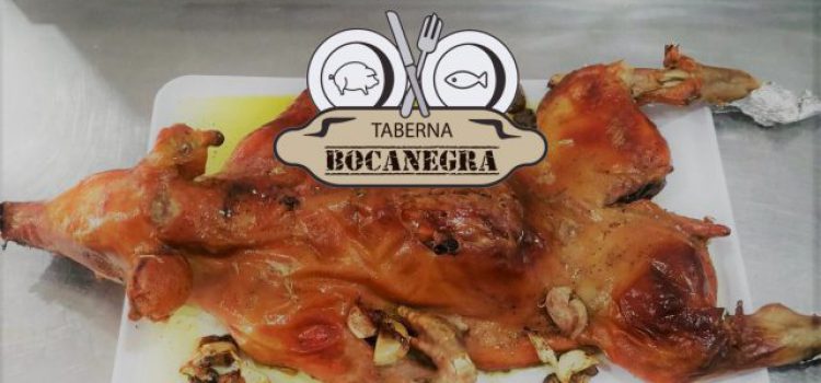 Taberna Bocanegra