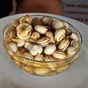 Caracoles